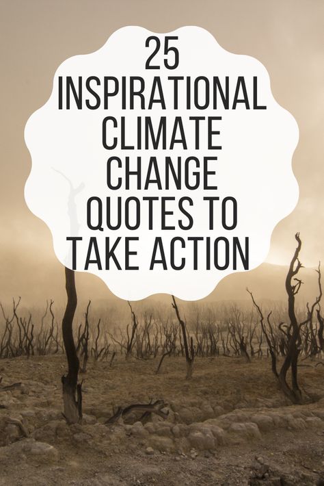 #Climate change is among the problems that require the effort and participation of everyone.Discover in this post 25 of the most inspiring #climate change quotes quoted by some of the most important people in our planet. Quotes About Climate, Aesthetic Words, Save Nature, Simple Quotes, Climate Action, Wise Words Quotes, Help The Environment, Important People, Eco Friendly Living