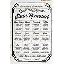 Laundry Basics, Baby Stains, Stain Removal Guide, Dead Costume, Jennifer Pugh, Doterra Recipes, Bow Maker, Clean Bathroom, Garlic Salmon