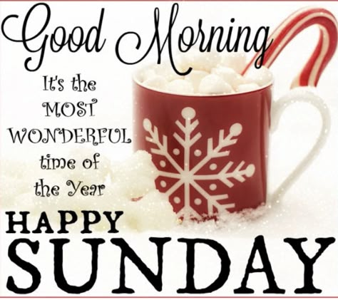 Happy Christmas Sunday Sunday December Quotes, December Sunday Morning Quotes, Winter Sunday Morning Quotes, Happy Sunday Christmas Images, Sunday Christmas Quotes, Happy Sunday Christmas, Sunday Christmas, Christmas Sunday, Good Morning Christmas