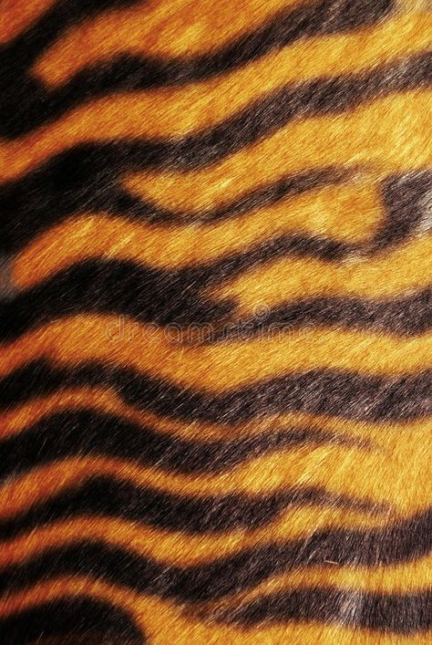 Tiger skin texture. Texture of wild cat skin #Sponsored , #affiliate, #Paid, #skin, #cat, #wild, #Tiger Animal Texture Drawing, Tiger Skin Tattoo, Tiger Scratch, Tiger Paws, Tiger Skin Wallpaper, Animal Skin Texture, Tiger Texture, Tiger Skin Pattern, Animal Crossing Cats