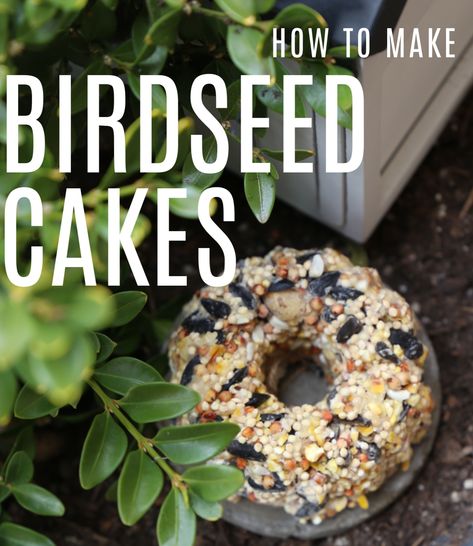 Birdseed Cakes, Bird Seed Cakes, Bird Seed Crafts, Bird Suet, Suet Cakes, Bird Seed Ornaments, Seed Balls, Karo Syrup, Bird Treats