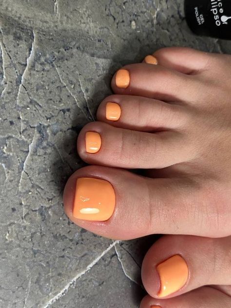 Orange Pedicure, Orange Toes, Orange Toe Nails, Toenail Colors, Nail Colour Ideas, Baby Orange, Summer Toes, Acrylic Toes, Toe Nail Color