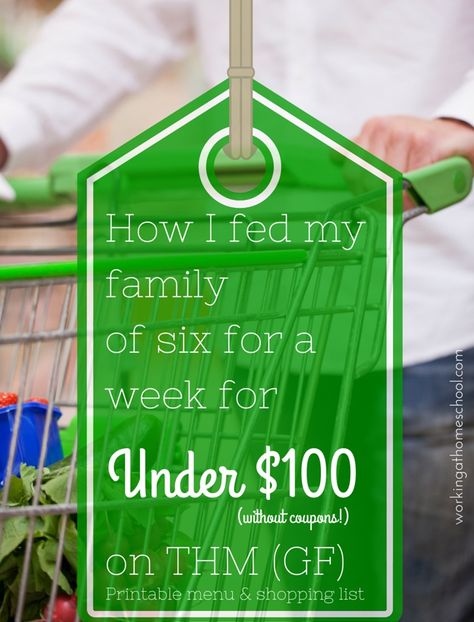 Feed a family of six for under $100 for a week on THM Cheap Healthy Meal Plan, Thm Meal Plans, Trim Healthy Mama Diet, Thm Dinner, Trim Healthy Mama Plan, Healthy Meal Plan, Trim Healthy Momma, Trim Healthy Mama Recipes, Cheap Healthy