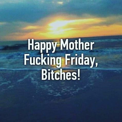 Friday Funnies, Hell Hound, Friday Meme, Friday Eve, Monday Memes, Its Friday, Its Friday Quotes, Random Quotes, Friday Humor