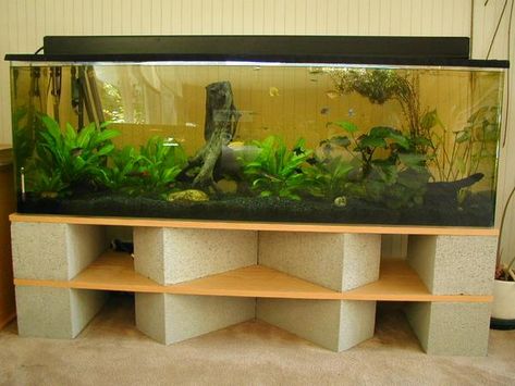 Diy Aquarium Stand, 75 Gallon Aquarium, Cinder Block Furniture, Aquarium Diy, Fish Stand, Aquarium Stands, Fish Tank Stand, Amazing Aquariums, Diy Fish Tank