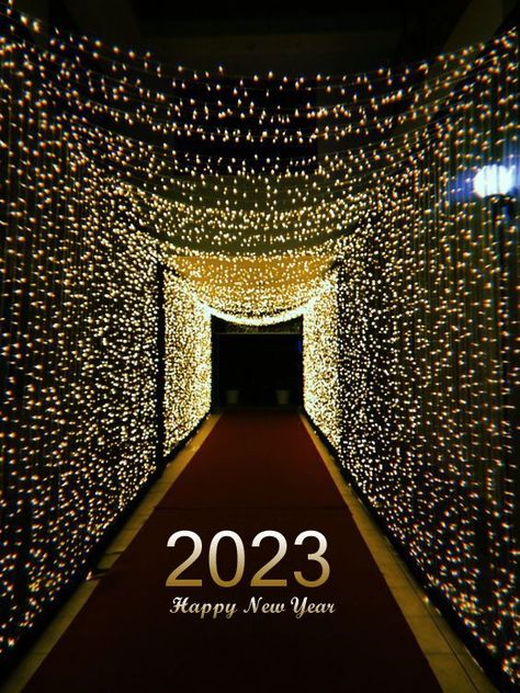 Best Merry Christmas and Path Of New Year Lights 2023 to all people in the world. Lights Entrance Wedding, Prom Venue Decoration, Prom Set Up Ideas, Prom Entrance Ideas, Party Entrance Decoration, Prom Background, New Year Pics, Party Tips And Tricks, Prom Venues