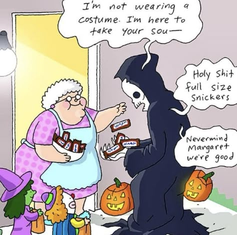 Halloween Meme, Halloween Jokes, Halloween Memes, Horror Lovers, Halloween Quotes, Halloween Cartoons, Holiday Humor, Halloween Pictures, Samhain