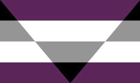 Aegosexual Definition, Aegosexual Flag, Amy Santiago, Pride Art, Flag Wallpaper, Gay Flag, Lgbt Flag, Flag, Collage