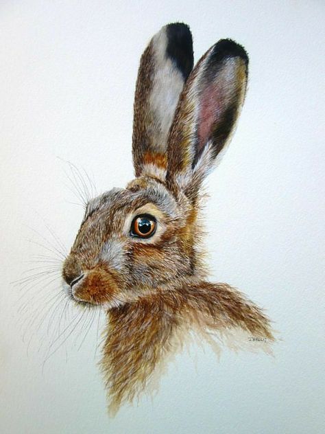 Hare Photos, Hare Watercolour, Hare Art, Hare Painting, Zoo Ideas, Rabbit Crafts, Mouse Illustration, Rabbit Painting, Drawing Animals