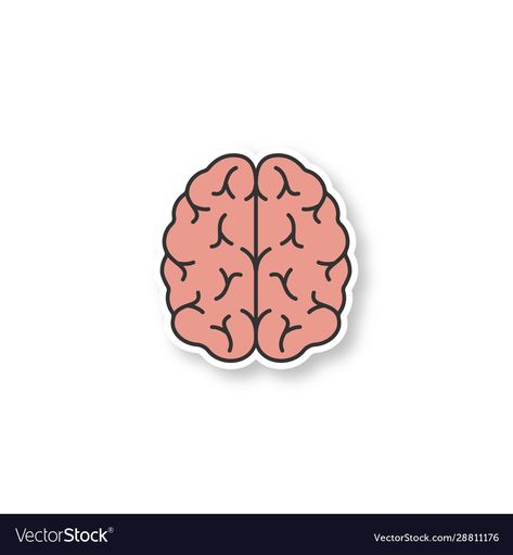 Human Brain, Coloring Stickers, Nervous System, Transparent Png, Png Images, Adobe Illustrator, Brain, Vector Images, Vector Free