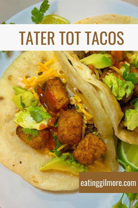 Tater Tot Tacos 8.01 Winter Tater Tot Tacos, Tater Tot Taco, Ground Beef Taco Seasoning, Eating Tacos, Taco Ingredients, Ground Beef Tacos, Corn Salsa, Canned Corn, Tater Tots