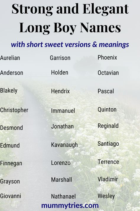 Searching for the perfect long baby boy name with an adorable nickname? This list is filled with strong, elegant, and timeless names that come with charming short forms to give you the best of both worlds. Whether you want a classic, sophisticated, or unique name, these options are sure to stand out. Click to explore the best long baby boy names with cute nicknames! Names With Cute Nicknames, Long Boy Names, Names With Nicknames, Name Idea, Baby Boy Name, Cute Nicknames, Unique Name, Boy Name, Unique Names