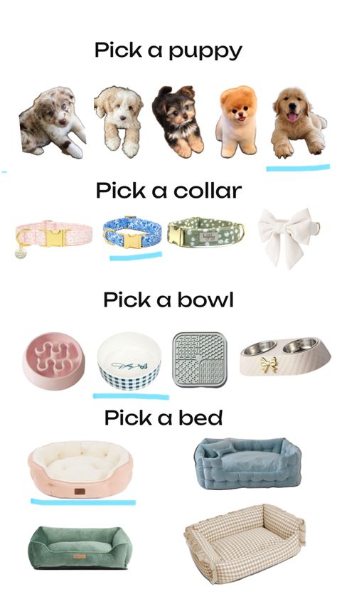 Cute Stuff For Dogs, Fun Sleepover Activities, Pet Aesthetic, Puppy Items, New Puppy Checklist, Puppy Checklist, Cute Dog Toys, Puppy Mom, Cute Luggage