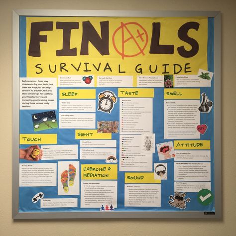 Finals Survival Guide bulletin board Finals Week Bulletin Board, Finals Ra Bulletin Board, Exam Bulletin Board Ideas, Ra Finals Bulletin Board, Finals Bulletin Board, Residence Life Bulletin Boards, Ra Inspiration, Resident Assistant Bulletin Boards, College Bulletin Boards