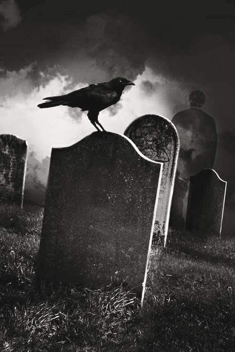 Old Cemeteries, Cemetery Art, Horror Themes, Dark Tattoo, Dark Photography, Dark Beauty, Gothic Art, Tombstone, Skull Art