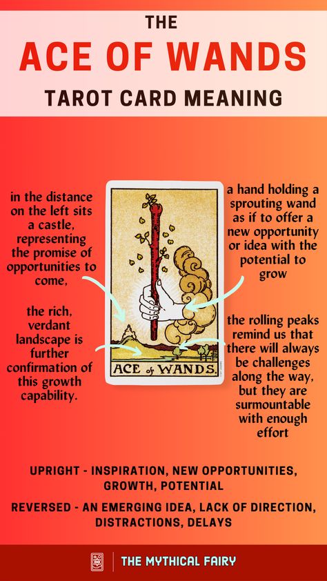 Unleash the magic with the Ace of Wands! Signaling Fiery Passion, Ground-breaking Ideas & the Spark of Creation! In the realm of Tarot, it's the ultimate symbol of New Beginnings & Inspiration. Explore its enigma today! Tarot Ace Of Wands, Ace Of Wands Tarot Meaning, Ace Of Wands Tarot Card, Ace Of Wands Tarot, Mythical Fairy, Best Tarot Decks, Ace Of Wands, Tarot Reading Spreads, Wands Tarot