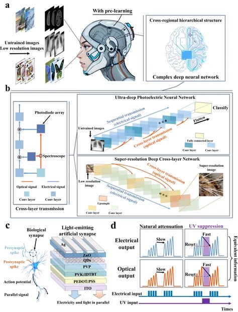 Cross-layer transmission realized by light-emitting memristor for constructing ultra-deep neural network with transfer learning ability | Nature Communications Neuro Science, Astronaut Training, Science Computer, Network Architecture, Robotic Automation, Google Scholar, Neural Network, Signal Processing, Computer Vision