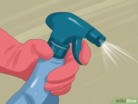 Get Mold Out Of Clothes, How To Take Mold Out Of Fabric, How To Get Mold Out Of Clothes, Mold Out Of Clothes, Mold On Clothes, Remove Mold From Clothes, Remove Mold Stains, Remove Mold, Mildew Remover