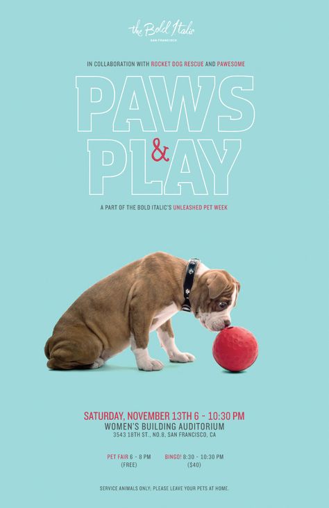 I like the simplicity of this design Pet Event Poster, Dog Event Poster, Pet Poster Design, Dog Poster Design, Dog Event, Pet Advertising, Service Cat, Pet Event, Pet Branding