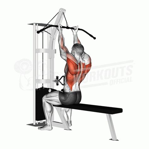 Back Workout Bodybuilding, Gym Back Workout, Back And Bicep Workout, Seated Leg Curl, Captains Chair, Barbell Deadlift, Leg Raise, Hanging Leg Raises, Biceps Brachii