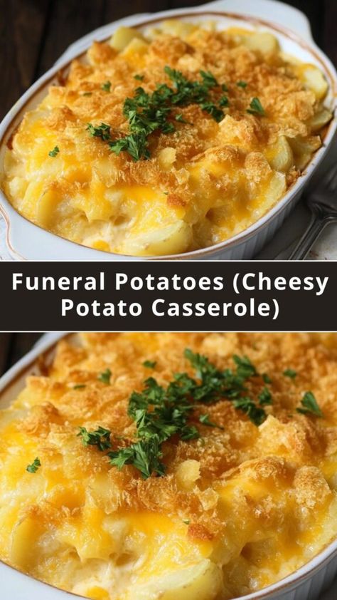 WEEKNIGHT RECIPES - Quick and Easy Recipes Cheesy Potato Casserole Recipes, Can Potatoes Recipes, Easy Potato Dishes, Cheesy Potatoes Casserole, Potato Casserole Recipes, Cheese Potato Casserole, Potato Side Dishes Easy, Casseroles Recipes, Cheesy Potatoes Recipe