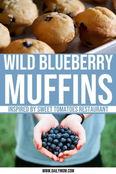 Wild Blueberry Muffins, Blueberry Muffin Recipe, Recipes To Try At Home, Tomatoes Recipes, Fall Meals, Kid Recipes, Yummy Dishes, Berry Muffins, Tomatoes Recipe