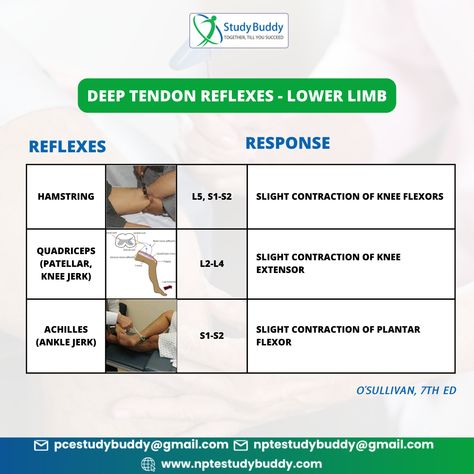 Let’s revise the DTRs for lower limb! A very important neurology topic for the NPTE exam and for physiotherapists in their clinical practice. #dtr #reflexes #kneejerk #exams #flashcards #neurological #studybuddy #nptestudybuddy #examination #neurology #physiotherapy #physiotherapist #physicaltherapist #physicaltherapystudent #physio #npte #exam Deep Tendon Reflexes, Neurological Examination, Physical Therapy Student, Lower Limb, Physical Therapist, Neurology, Physical Therapy, Dali, Physics