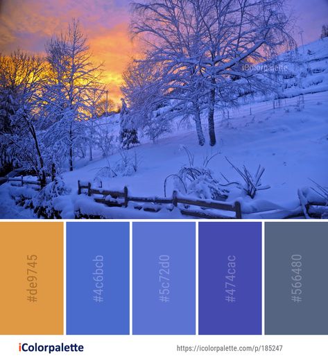 Color Palette ideas from 693 Winter Images | iColorpalette Winter Inspired Color Palette, Winter Light Color Palette, Winter Colour Scheme, Modern Winter Color Palette, Winter Color Pallet, Blue Complementary Color Palette, Winter Pallette, Hot And Cold Color Palette, Winter Colour Pallete