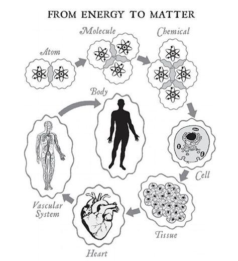 DEAR VIBRATIONAL BEING: You are part physical and you are part non-physical because you are made up of the same building blocks as everything in the Universe: Atoms. Each atom has a nucleus which is surrounded by electrons but the atom is 99.999999999999% energy. Quantum physics scientists have discovered the electrons aren’t always present (as depicted), they move around, show up, and disappear, because the electrons exist as potentials in different dimensional realities simultaneously at an Becoming Supernatural, Quantum Physics Science, Physics Scientists, Atomic Energy, Metaphysical Spirituality, Sacred Science, Spiritual Journals, Spirit Science, Energy Healing Spirituality