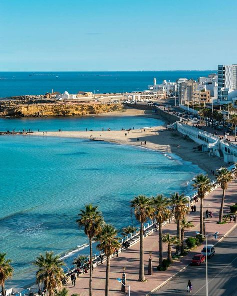 from the heights of the medieval tower, we gain this refreshing sight of the natural #pools gifted to Monastir, next to its pleasant downtown, brought to you by Ahmed Krid, from eastern #Tunisia .. Keep Cool! Mediterranean Pool, Big Pool, Medieval Tower, Big Hearts, Roman City, Wild Forest, The Heights, Seaside Resort, Keep Cool