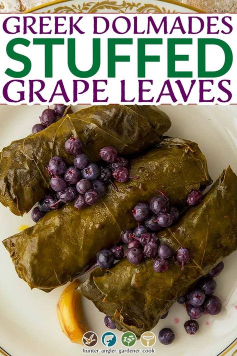 Greek Dolmades, Dolmades Recipe, Grape Leaves Recipe, Stuffed Grape Leaves, Armenian Recipes, Mediterranean Dishes, Mediterranean Diet Recipes, Middle Eastern Recipes, Arabic Food