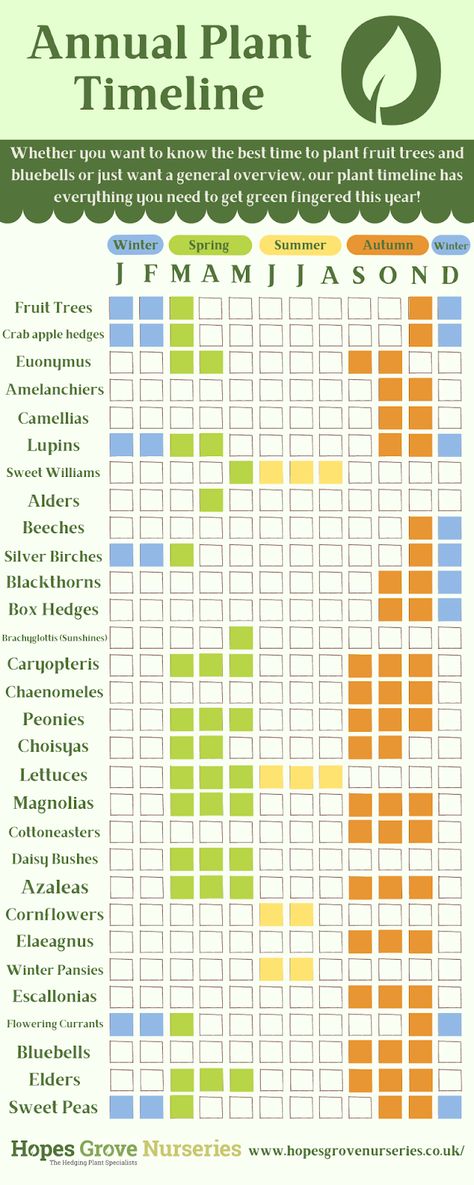 Plant calendar for 2022 When To Plant Flowers, Plant Calendar, Fruit Planting, Winter Pansies, Outdoor Herb Garden, Box Hedging, Planting Calendar, Delicious Veggies, Garden Kneeler