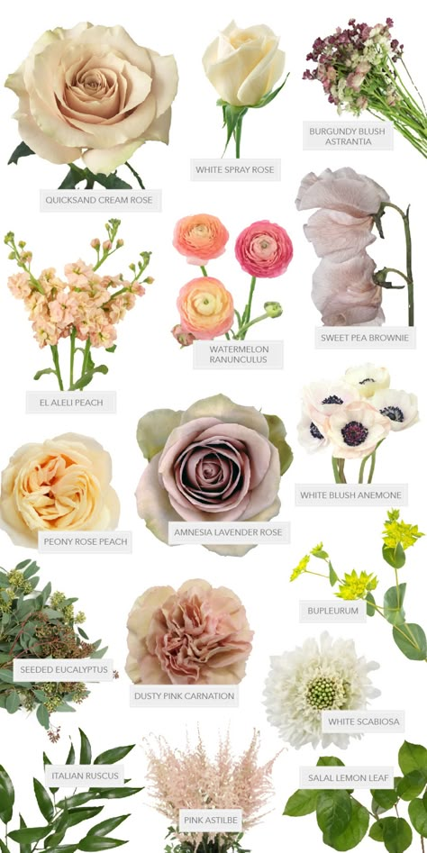 #sponsored Peachy Mauve Wedding With DIY Blooms Fifty Flowers #peachflowers #mauveflowers #flowerrecipe #bouquet #brideinspo Wedding Bouquet Styles Shape, Bouquet Photoshoot, Flowers Guide, Wedding Flower Types, Flower List, Fifty Flowers, Pantone 2024, Flower Chart, Beautiful Birdhouses