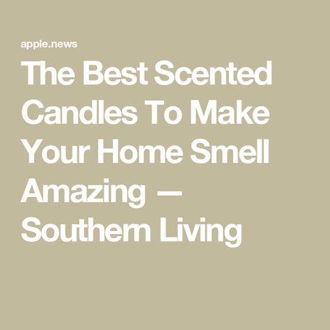 The Best Scented Candles To Make Your Home Smell Amazing — Southern Living Best Scented Candles, Make Your Home Smell Amazing, Lighting A Candle, Smelling Candles, Best Smelling Candles, Interchangeable Knitting Needles, Home Smell, Knitting Gauge, Knitting Needles Sizes