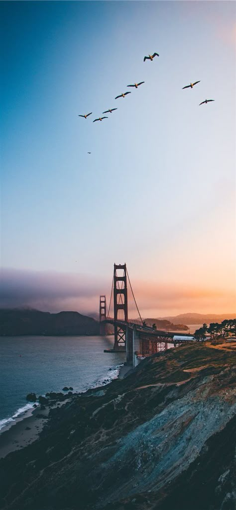 Golden Gate Bridge  United States iPhone X wallpaper  #la #bridge #sky #bird #GoldenGateBridge #flock #structure #UnitedStates  #Wallpaper #Background #iPhoneX #iPhoneXS #iPhoneXR Iphone Wallpaper Travel, Bridge Wallpaper, Wallpaper Travel, San Francisco Photos, Travel Wallpaper, The Golden Gate Bridge, Ocean Wallpaper, City Wallpaper, Backgrounds Phone Wallpapers