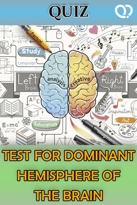 Let's see if the creative or the logical part of your brain is more creative! Brain hemispheres, logical brain, creative brain #quiz Right Hemisphere Brain, Left Or Right Brain Quiz, Cambell Soup, Intelligence Quizzes, Brain Hemispheres, Brain Creative, Brain Quiz, Geography Quizzes, Brain Parts