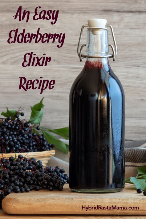 Dried Elderberry Tincture Recipe, Elderberry Brandy Recipe, Elderberry Wine Recipe, Elderberry Elixir Recipe, Elixers Herbal, Elderberry Elixir, Elixir Recipe, Elderberry Extract, Tinctures Recipes