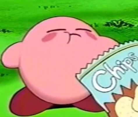 Kirby Reaction, Kirby Core, Kirby Meme, Mario Cute, Kirby Pokemon, Cats Name, Kirby Memes, Daily Picture, Kirby And Friends