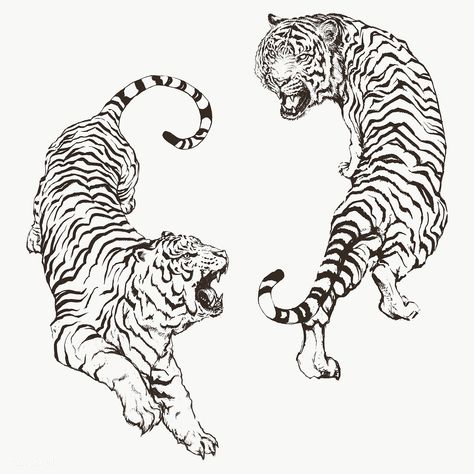 Hand drawn roaring yin yang tigers overlay | premium image by rawpixel.com Black And White Back Tattoo, White Back Tattoo, Hase Tattoos, Tiger Black And White, Tiger Outline, White Tiger Tattoo, Art Tigre, Japanese Tiger Tattoo, Tiger Black