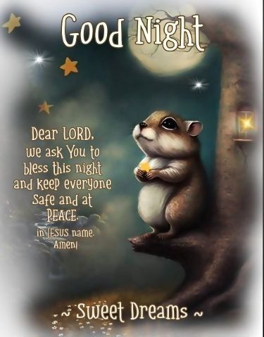 Goodnight Quotes For Friends, Good Night Dear Friend, Inspirational Friend Quotes, Good Night Blessings Quotes, Good Night Love Pictures, Goodnight Quotes Inspirational, Good Night Cat, Good Night Prayer Quotes, Good Night Dear