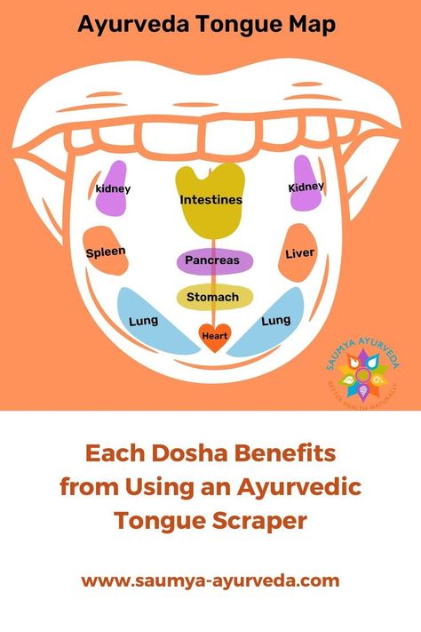 image of tongue map showing organs Tongue Scraping, Newborn Feeding, Tongue Scraper, Blood Sugar Diet, Health Podcast, Tongue Health, Nail Care Tips, Healthy Liver, Pelvic Pain