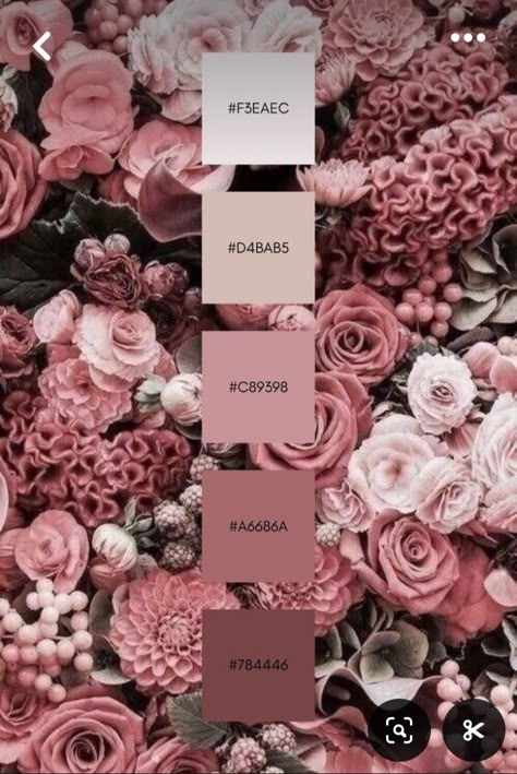 Blush Pink And Mauve Color Palette, Mauve And Pink Color Palette, Pink Colour Scheme Wedding, Vintage Rose Color Palette, Fall Pink Wedding Color Schemes, Desert Rose Color Palette, Old Rose Color Palette, Wedding Color Palette Pink, Dusty Rose Color Palette