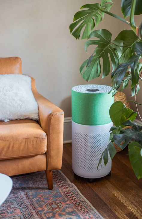 11 Reasons Why An Air Purifier Will Be The Best Money You Spend All Year Plant Air Purifier Indoor, Best Air Purifiers Home, Coway Air Purifier, Box Fan Filter Air Purifier, Honeywell Air Purifier, Portable Air Purifier, Natural Air Purifier, Home Air Purifier, Business Colors