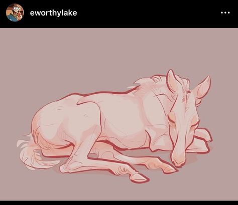 Realistic Animal Drawings, Horse Foal, Quick Sketches, Horse Sketch, Horse Anatomy, The Art Of Storytelling, Horse Drawing, Horse Drawings, My Little Pony Characters