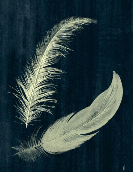 Feather Aesthetic, Weather Aesthetic, Two Feathers, Feather Drawing, Hope Is The Thing With Feathers, Angel Feathers, Feather Painting, Feather Art, Rainy Weather