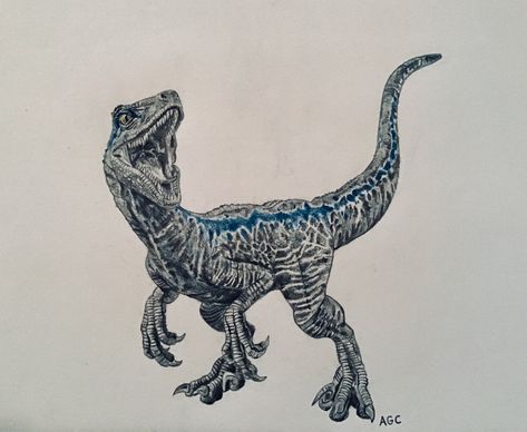 Blue Velociraptor Tattoo, Blue Jurassic World Tattoo, Raptor Tattoo Jurassic Park, Velociraptor Drawing, Raptor Tattoo, Blue Jurassic World, Dinosaur Tattoo, Artsy Tattoos, Lord Of The Rings Tattoo