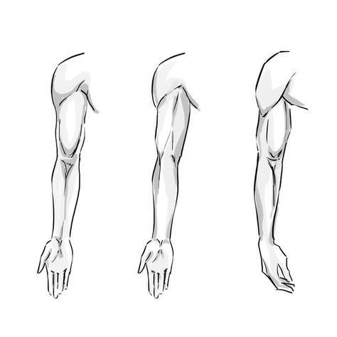 Manga Arms Reference, Human Arm Drawing, Arm Atonomy Drawing, Men Arms Drawing, Hand Arm Drawing, Drawing Arms Reference, Man Arms Drawing, Sholder References Drawing, Resting Arm Reference