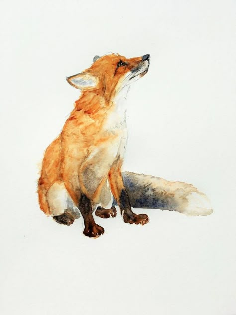 Fox Pencil Drawing, Red Fox Tattoos, Fox Watercolour, Botanical Art Drawing, Fox Drawing, Art Tutorials Watercolor, Spirit Animal Art, Watercolor Pictures, Spirit Animals