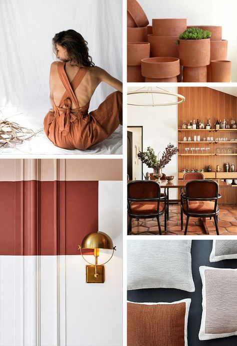 Paint Terra Cotta Pots, Colors Moodboard, Cavern Clay, Hunted Interior, Terra Cotta Pots, Sherwin Williams Colors, Pastel Room, Bedroom Paint Colors, Dark Interiors