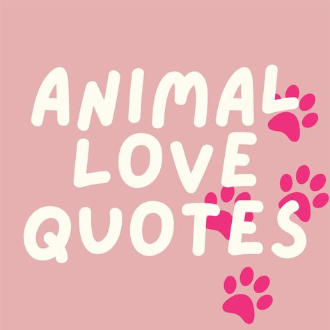 Whether you’re a lover of dogs or crazy about cats, these animal love quotes will make you smile about your four-legged friends. Choosing Between Two Things, Loving Animals Quotes, Pet Quotes Love, Cute Pet Quotes, Love Animals Quotes, Pet Quotes Inspirational, I Love Animals Quote, Pet Lover Quotes, Pet Love Quotes